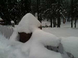 show-head-gulmarg