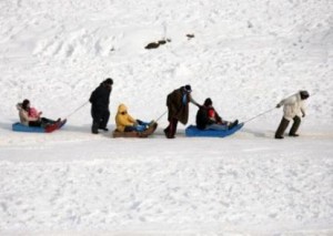 snow-sledging-gulmarg-org