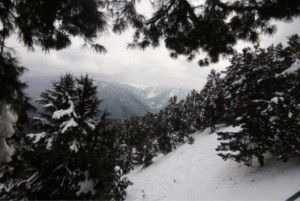 snow-slopes-from-height-gulmarg-org